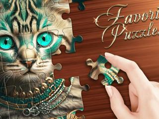 Favorite Puzzles